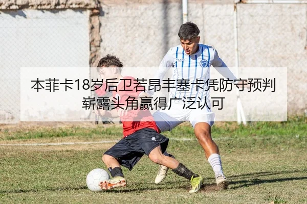 img_1783355048409_115_1_477.jpg